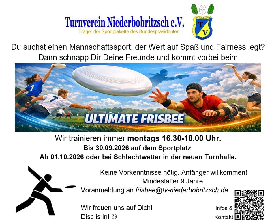 Flyer Frisbee